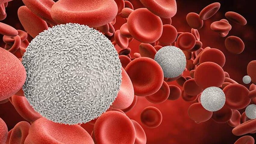 blood cancer treatment