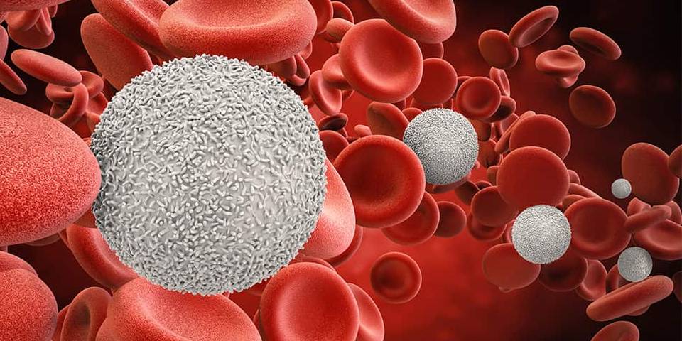 Blood Cancer types Diagnosis and Treatment
