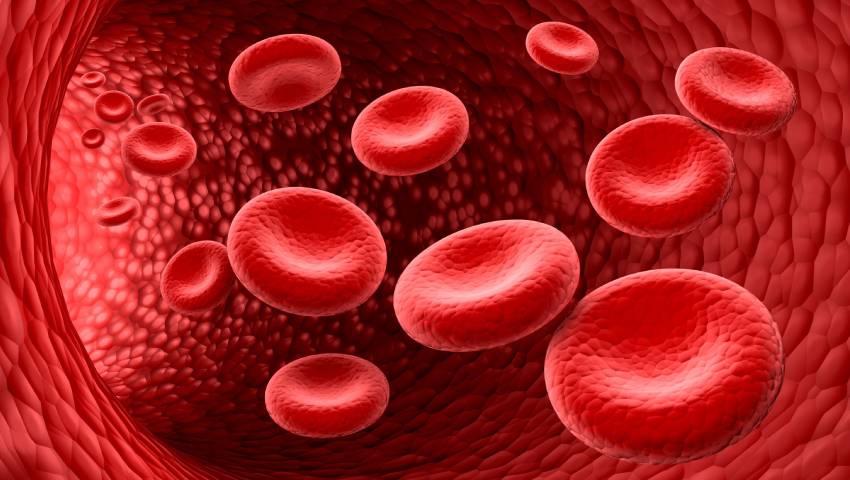 Blood Cancer Types Symptoms Causes and Treatment