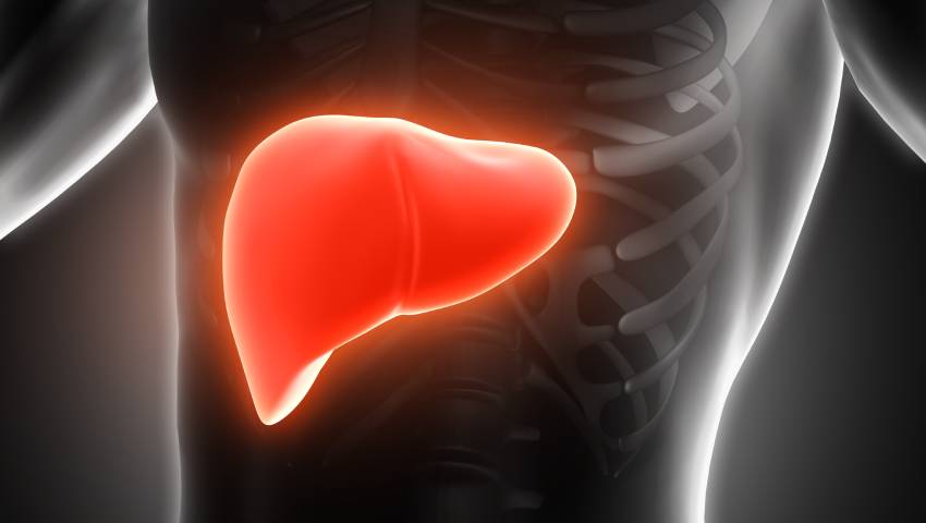 7 Major Risk Factors of liver cancer in India