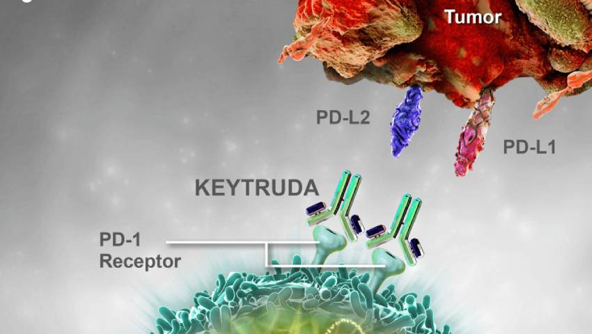 Keytruda Pembrolizumab is now approved for use in Cancer by DGCI India