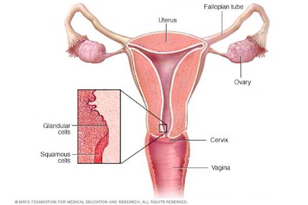 Cervical Cancer Treatment In Pune _ Dr. Pratik Patil