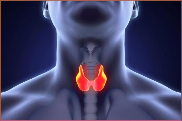 Medullary Thyroid Cancer